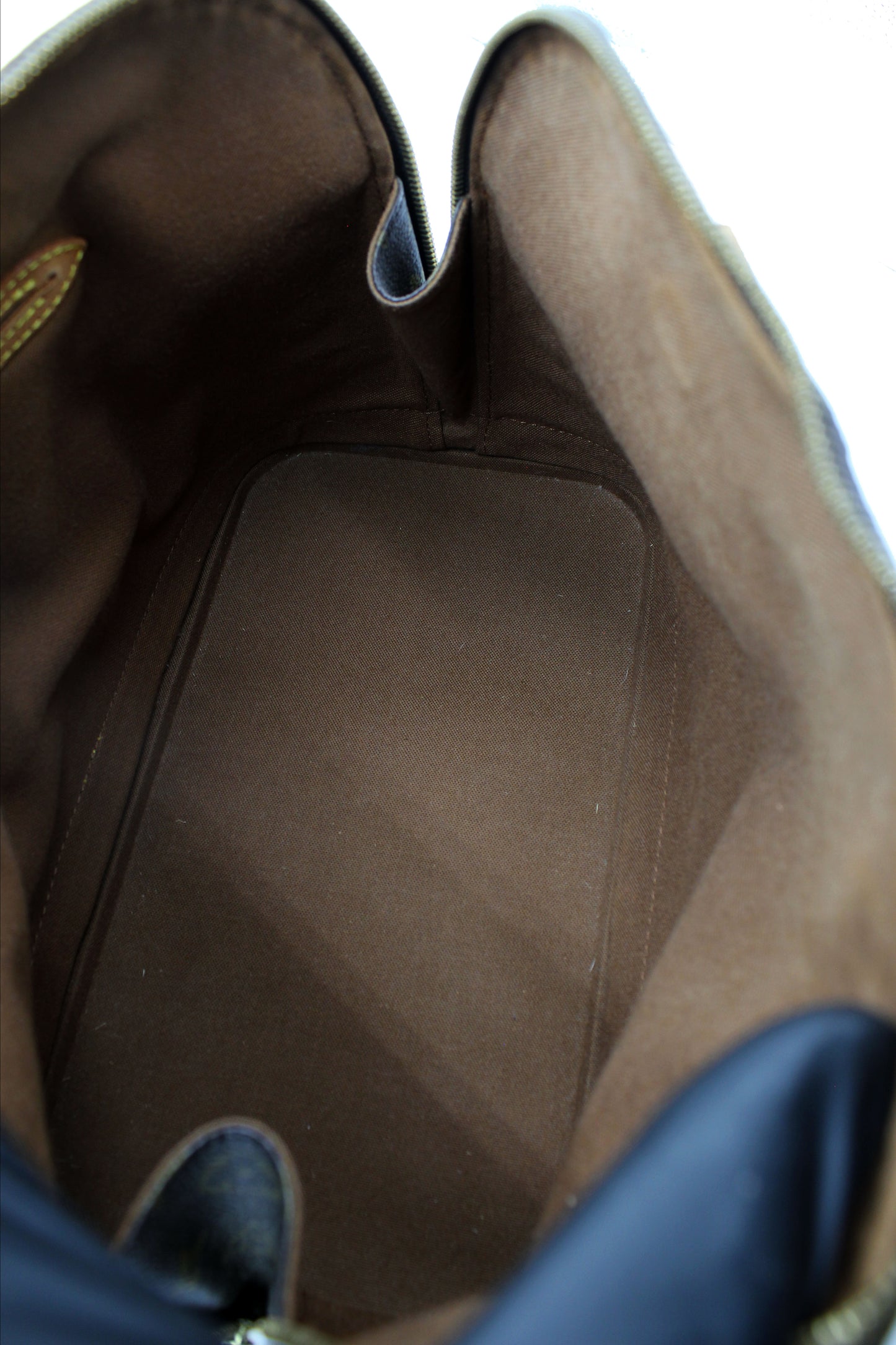 Louis Vuitton Alma PM Monogram